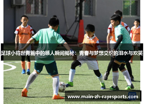 足球小将世青篇中的感人瞬间揭秘：青春与梦想交织的泪水与欢笑