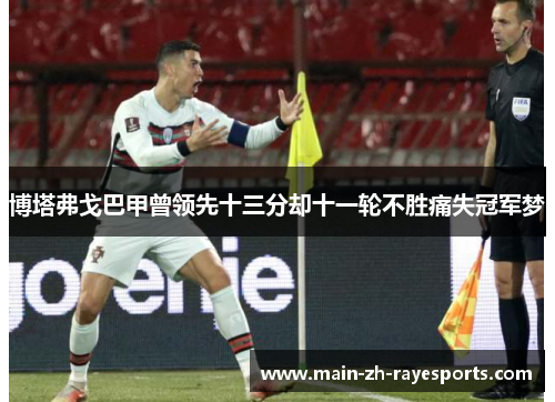 博塔弗戈巴甲曾领先十三分却十一轮不胜痛失冠军梦 博塔弗戈巴甲曾领先十三分却十一轮不胜痛失冠军梦