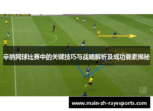 辛纳网球比赛中的关键技巧与战略解析及成功要素揭秘